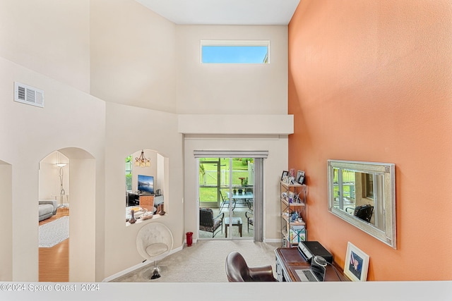 interior space featuring a high ceiling and carpet floors