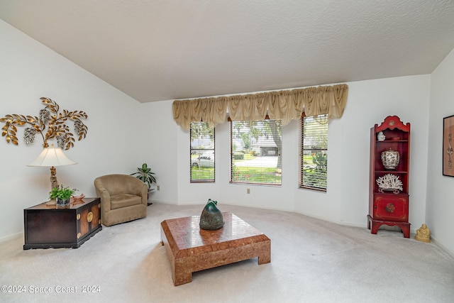 interior space featuring a textured ceiling, carpet floors, and plenty of natural light