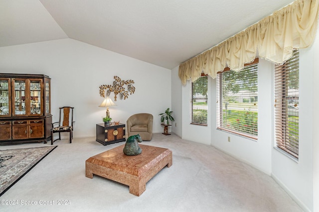 sitting room with vaulted ceiling and carpet flooring