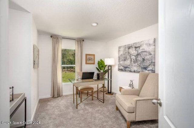 carpeted office featuring a textured ceiling