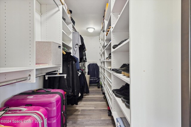 spacious closet with hardwood / wood-style flooring