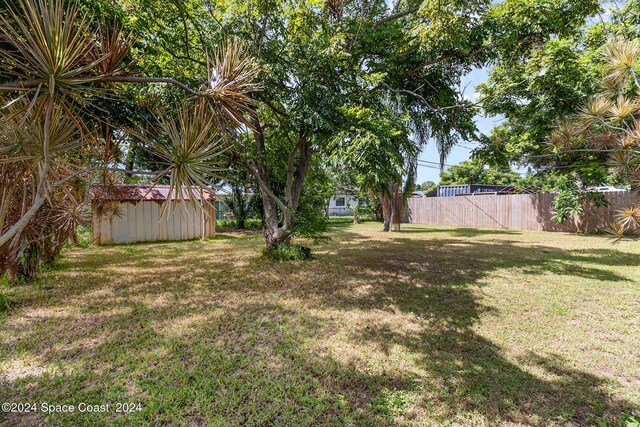 view of yard with a storage shed