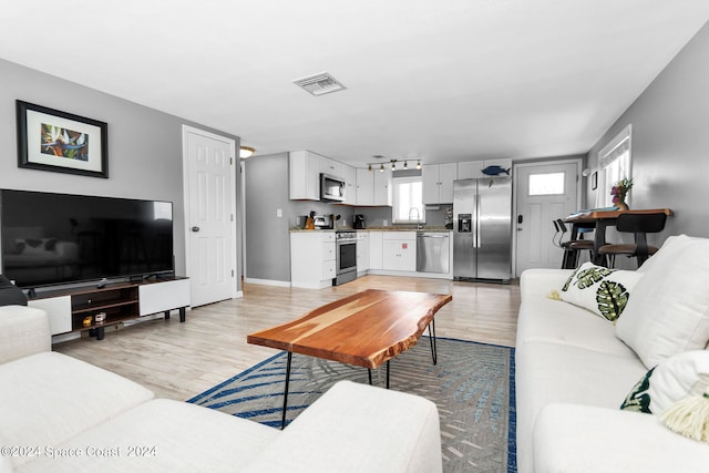 living room with light wood-type flooring