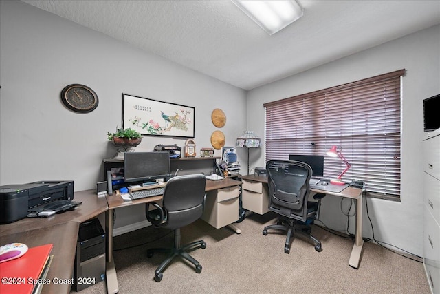 carpeted home office with a textured ceiling