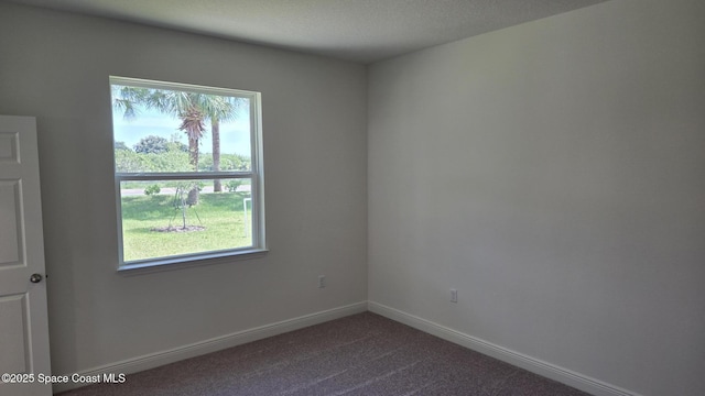 4376 Kelsey Ln, Sebastian, FL 32976 - empty room with dark colored carpet and baseboards