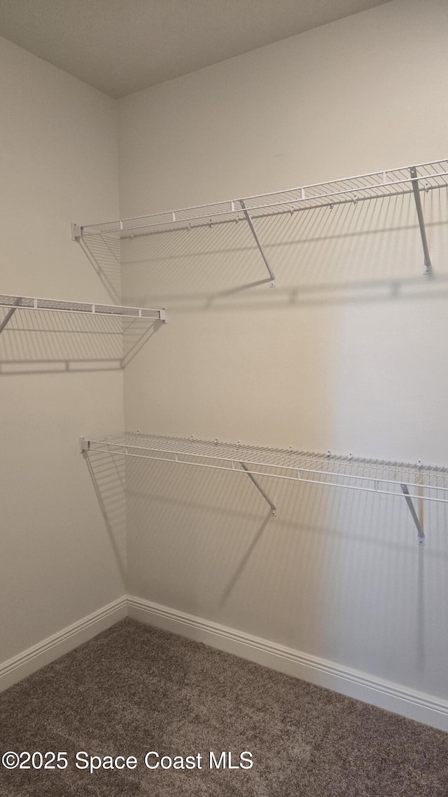 4376 Kelsey Ln, Sebastian, FL 32976 - spacious closet with carpet flooring
