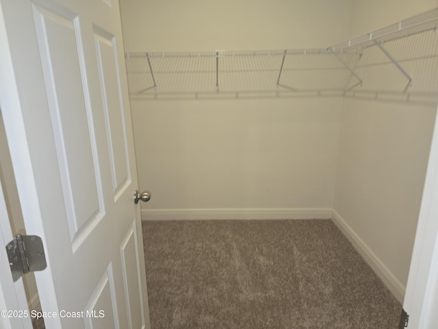 walk in closet with dark carpet