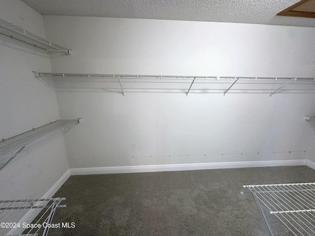 1248 Water Lily Ln, Rockledge, FL 32955 - walk in closet with carpet floors