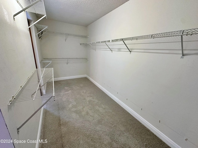 1248 Water Lily Ln, Rockledge, FL 32955 - walk in closet with carpet flooring