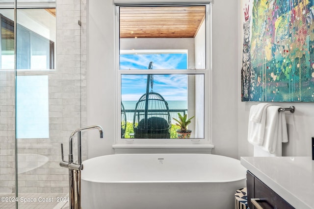 bathroom with vanity, plenty of natural light, and independent shower and bath