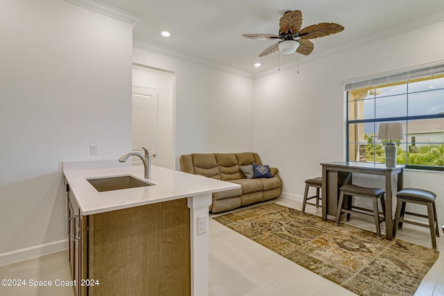 kitchen featuring sink, ceiling fan, and ornamental molding