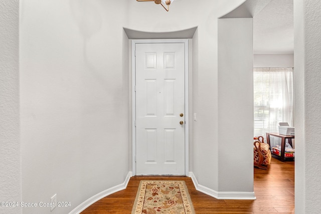 entryway with hardwood / wood-style flooring