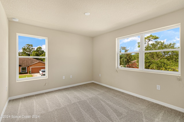 unfurnished room featuring a textured ceiling, carpet floors, and a healthy amount of sunlight