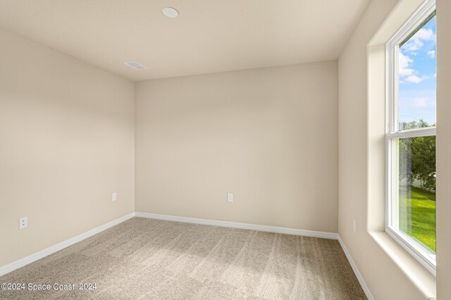 unfurnished room featuring a wealth of natural light and carpet flooring