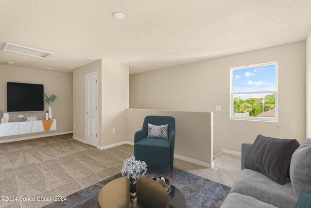 carpeted living room with a textured ceiling