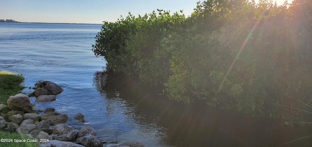 property view of water