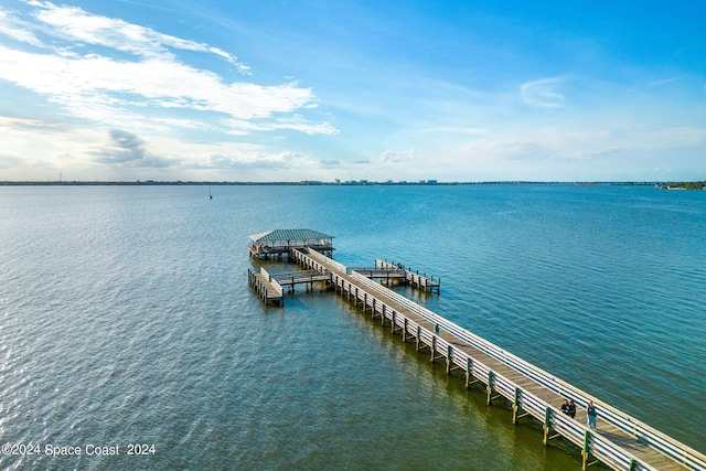 water view featuring a boat dock