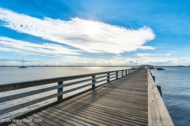 dock area with a water view