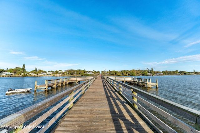 dock area with a water view