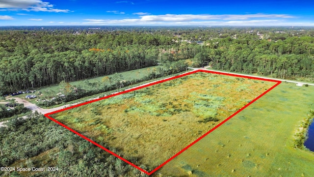 3261 Prosperity Ln, Malabar, FL 32950 - photo 3