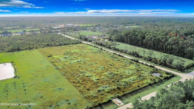 3261 Prosperity Ln, Malabar, FL 32950 - photo 4