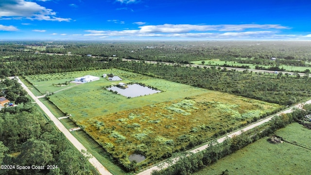 3261 Prosperity Ln, Malabar, FL 32950 - photo 6