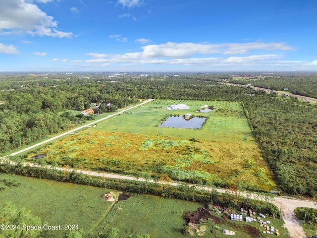 3261 Prosperity Ln, Malabar, FL 32950 - photo 8