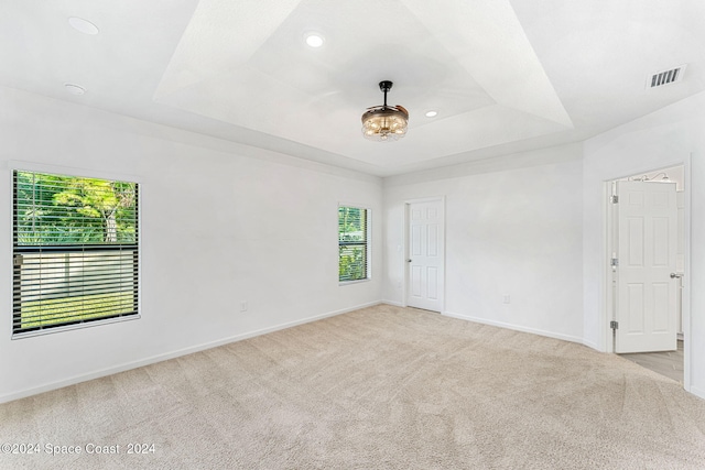 carpeted empty room featuring a raised ceiling and a healthy amount of sunlight