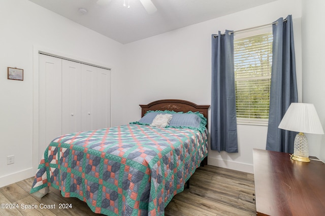 bedroom with a closet, multiple windows, and hardwood / wood-style flooring