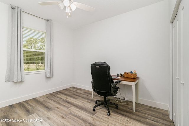 office featuring light hardwood / wood-style flooring and ceiling fan