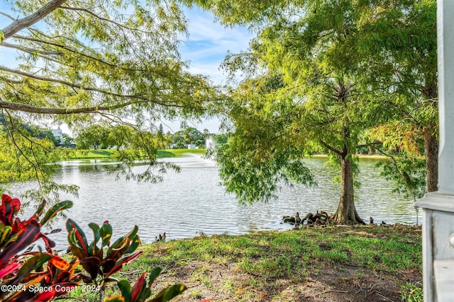 property view of water