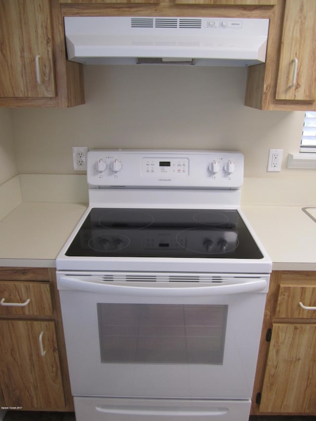 kitchen with ventilation hood and electric range