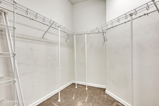 spacious closet featuring dark colored carpet