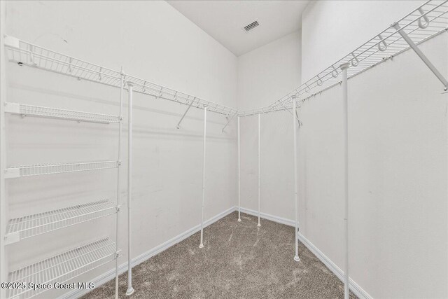 673 Remington Green Dr SE, Palm Bay, FL 32909 - walk in closet featuring visible vents and carpet floors