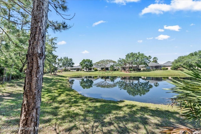 673 Remington Green Dr SE, Palm Bay, FL 32909 - view of water feature