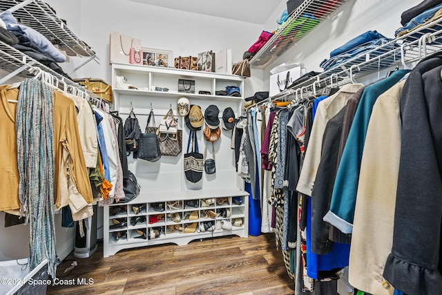 spacious closet featuring wood-type flooring