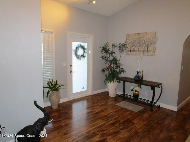 entryway featuring dark wood-type flooring, a healthy amount of sunlight, and lofted ceiling