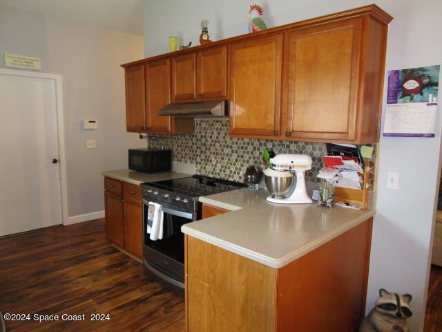 kitchen featuring decorative backsplash, dark hardwood / wood-style floors, stainless steel gas range, and range hood