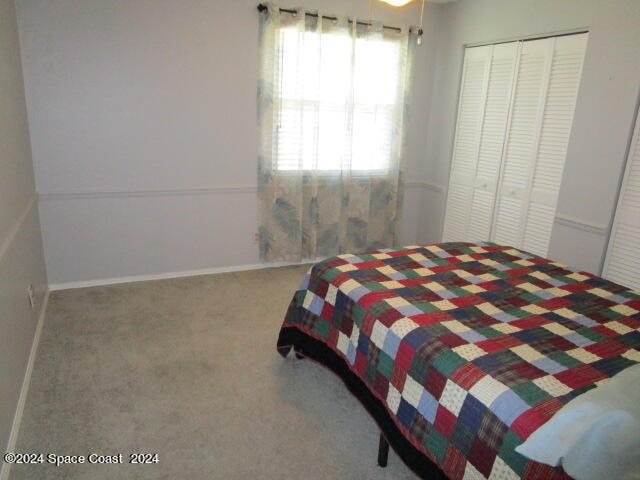 bedroom with a closet and carpet floors