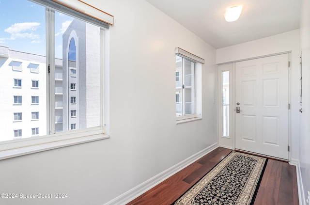 entryway with dark hardwood / wood-style floors