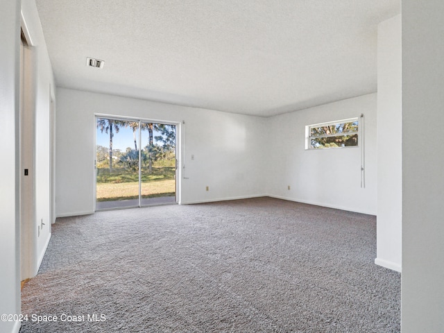 spare room with carpet flooring, plenty of natural light, and a textured ceiling