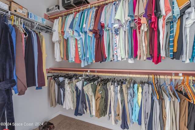 walk in closet with carpet flooring