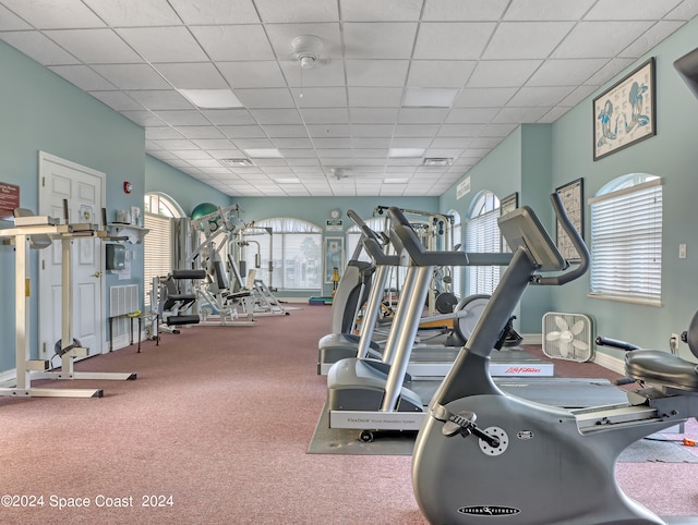 workout area featuring carpet flooring and a drop ceiling