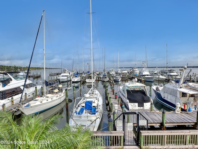 dock area with a water view