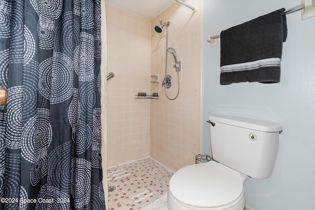 full bathroom featuring a shower stall and toilet