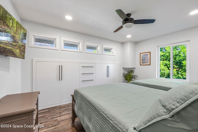 bedroom with a closet, ceiling fan, and dark hardwood / wood-style floors