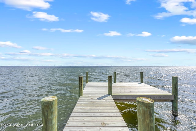 dock area with a water view