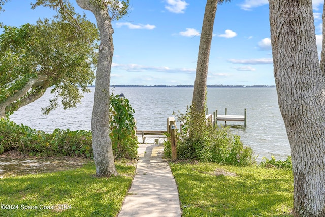 dock area with a water view