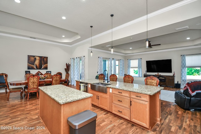 kitchen with a raised ceiling, a sink, an island with sink, and open floor plan