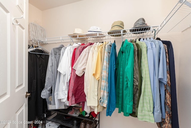 view of walk in closet